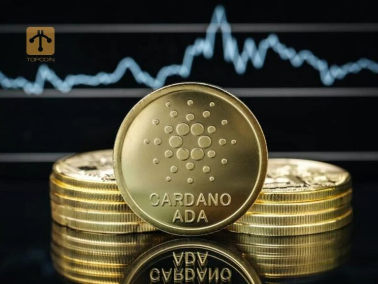 dong-coin-Cardano